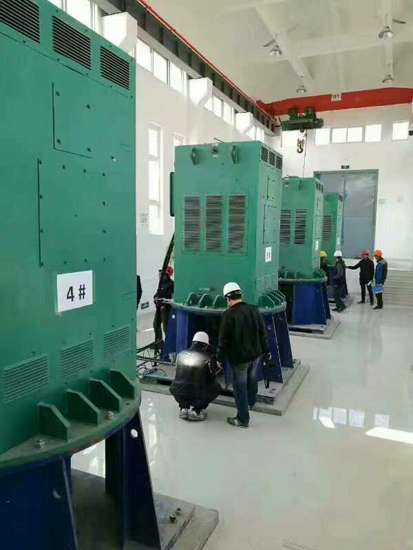 齐河某污水处理厂使用我厂的立式高压电机安装现场生产厂家