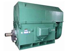 齐河Y系列6KV高压电机